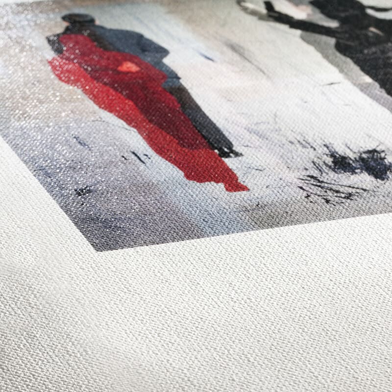 Hahnemühle Goya Canvas inkjet media (official Hahnemühle image)