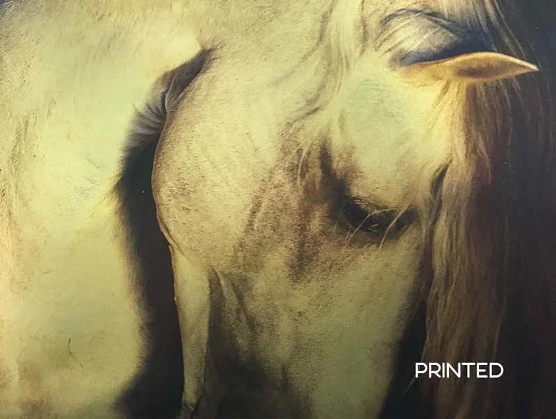 Dreamscape Gold Flash printable wallcovering