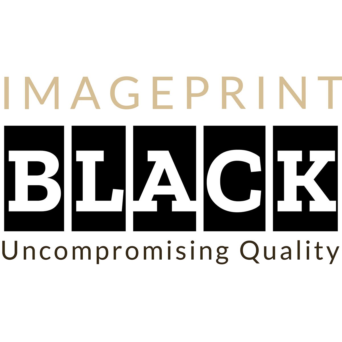 ImagePrint BLACK V13 RIP Software for 13" Printers