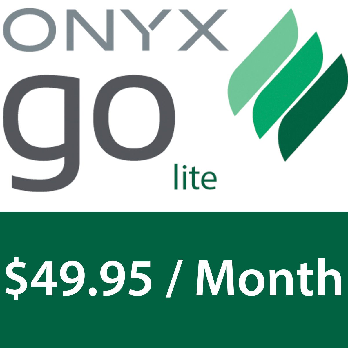 ONYX Go Lite (monthly subscription)